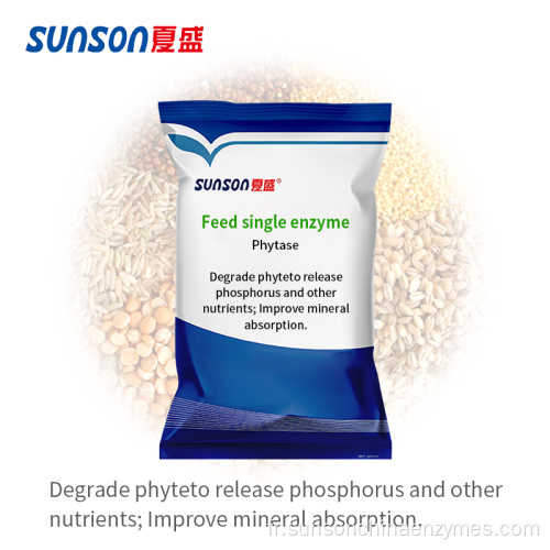 Nourrir l&#39;enzyme de phytase thermostable additive pour le bétail